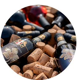Cantina La Montanina
