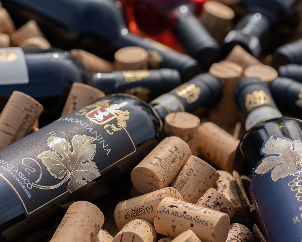 Produzione vino biologio toscano Chianti Classico