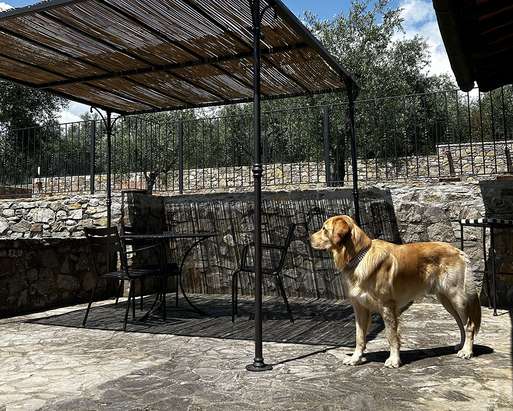 Animali benvenuti a Borgo a Monti
